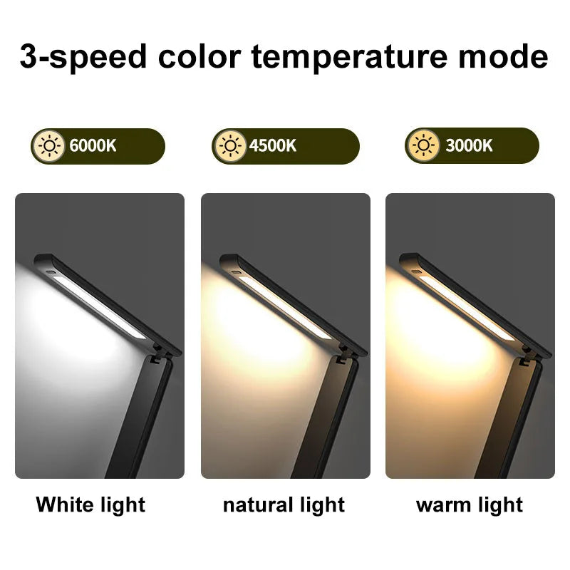 Multifunction LED Desk Lamp